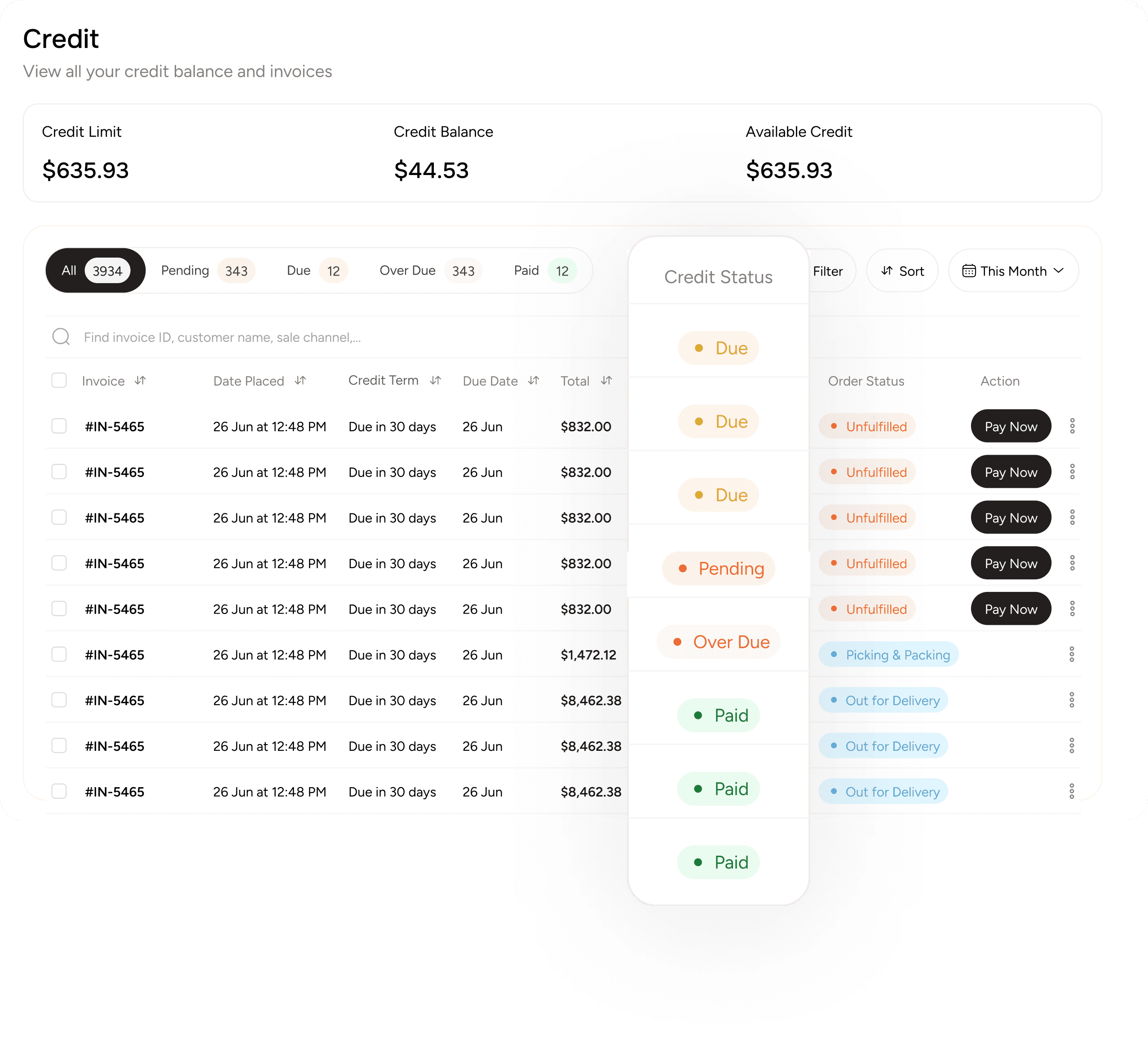 Track, edit and handle the credit balance and invlices in one B2B dashboard